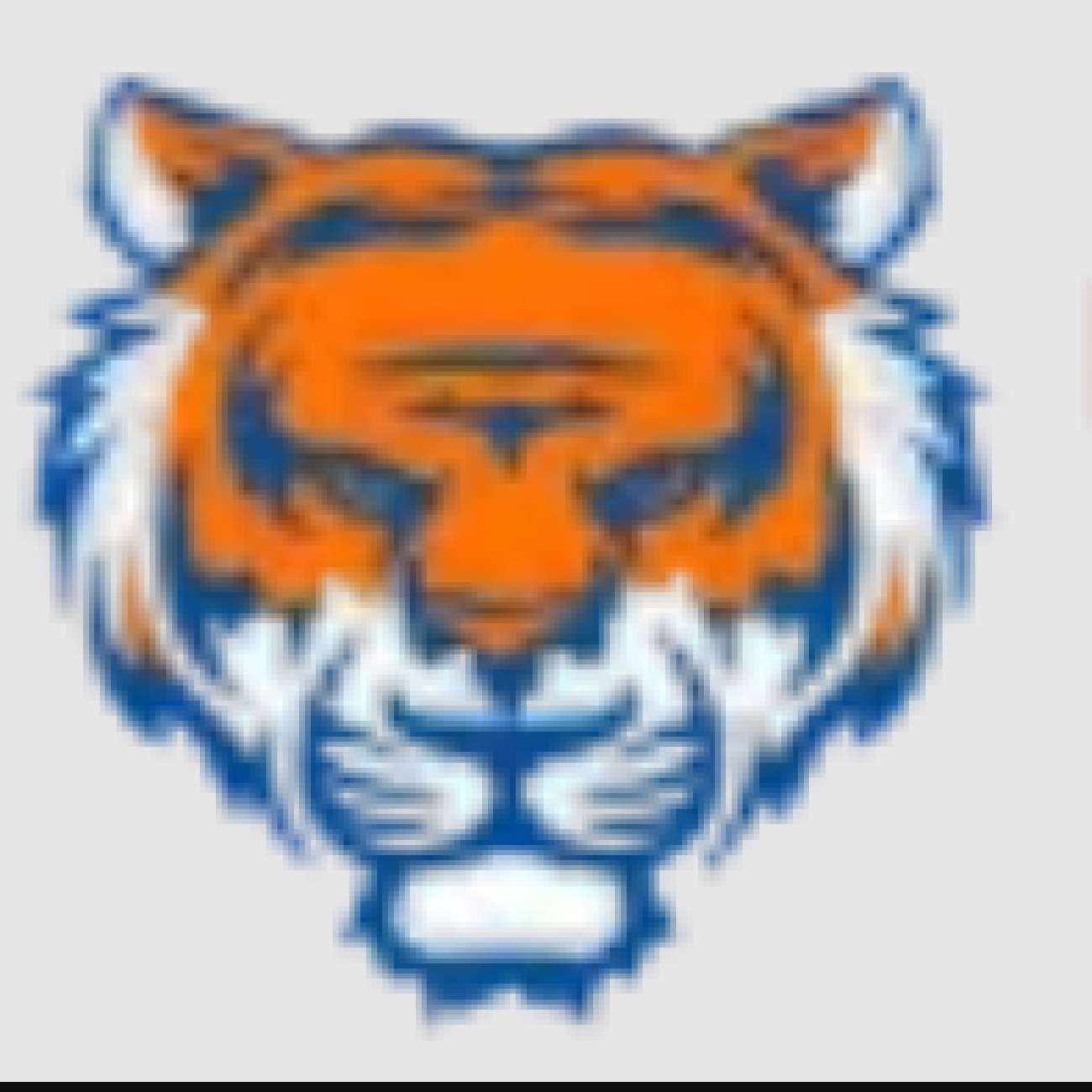 Tiger fair
